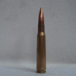 50 cal brass case ball dummy round. Price per round