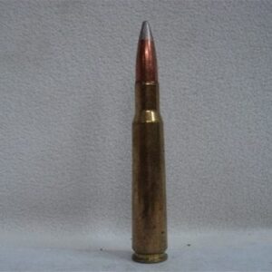 50 cal brass case api dummy round