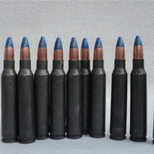 223 Incendiary Ammo. Price per round.