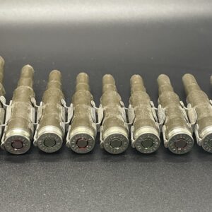 7.62x51 (308) linked plastic blanks. 100 round belt.