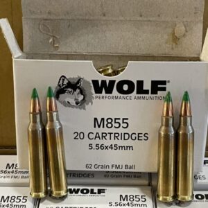 5.56x45 62 grain brass case ammo. 1000 rounds.
