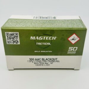 300 BLACK OUT 123 GR. FMJ